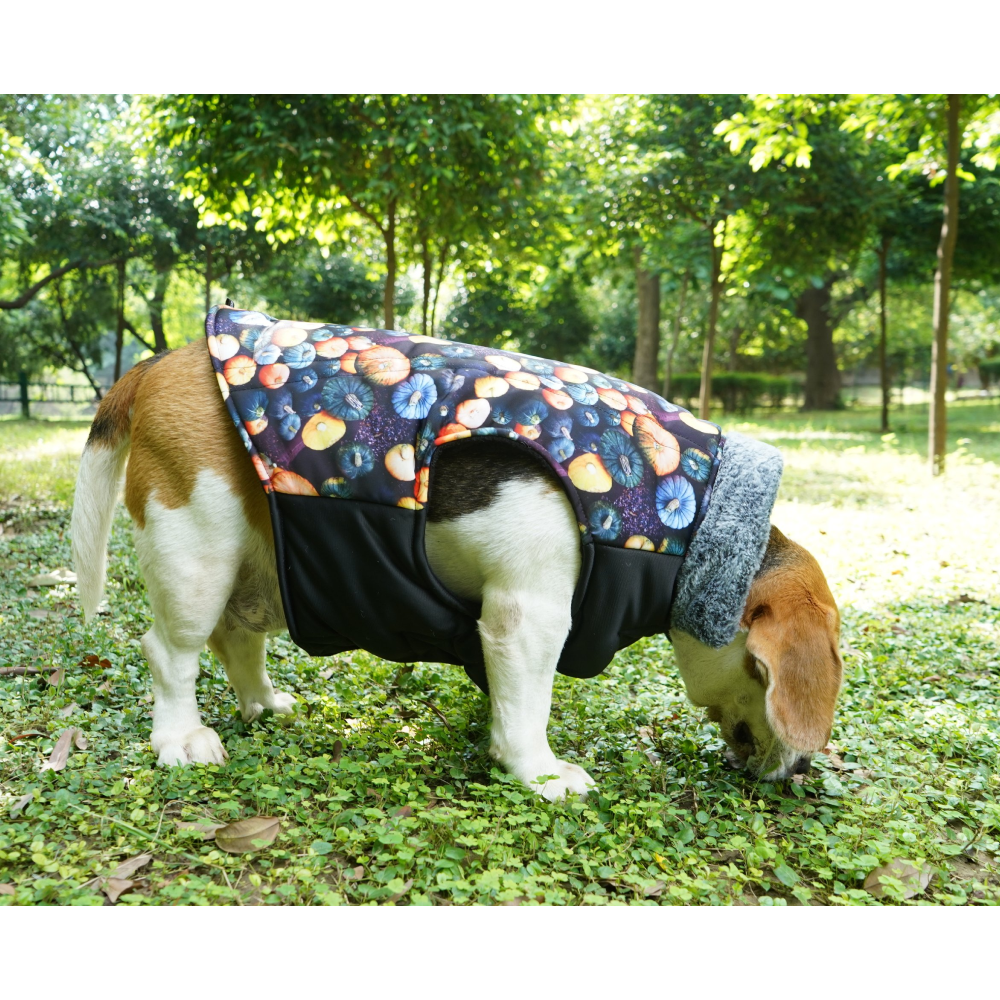 Up4pets Pumpkin Spice Polyester Fleece Jackets For Pets