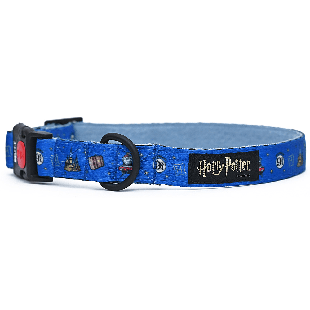 Harry Potter Welcome To Hogwarts Collar for Dogs
