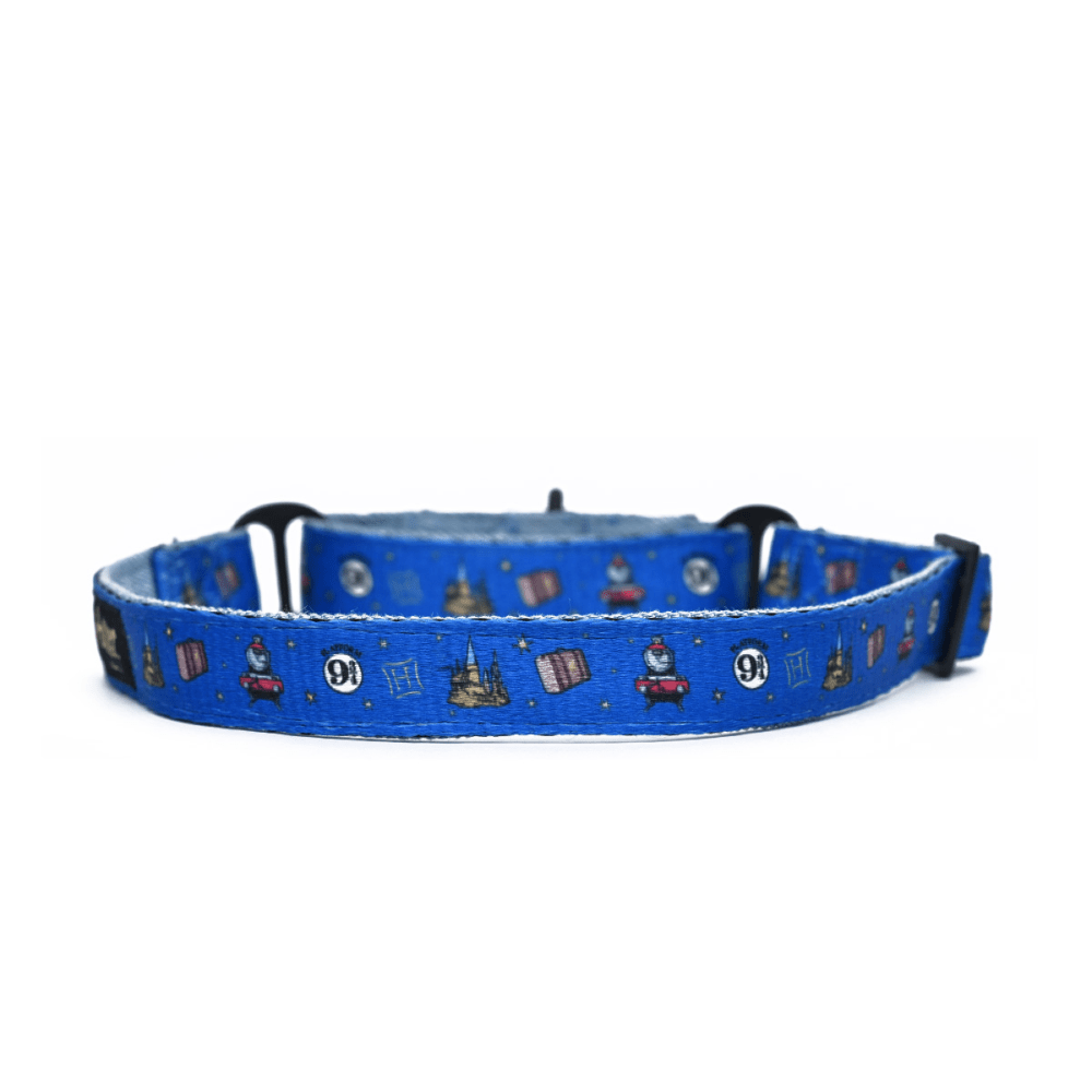 Harry Potter Welcome To Hogwarts Martingale Dog Collar