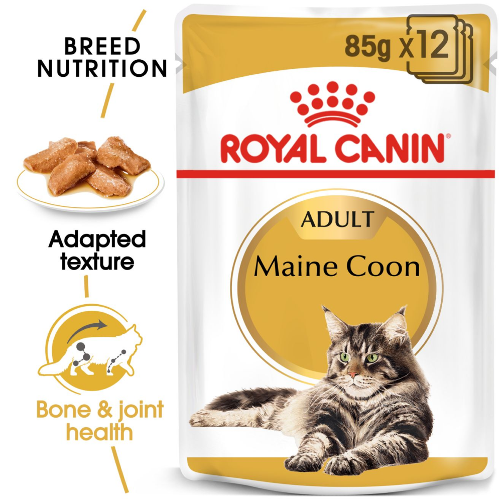 Royal Canin Maine Coon Adult Gravy Cat Wet Food