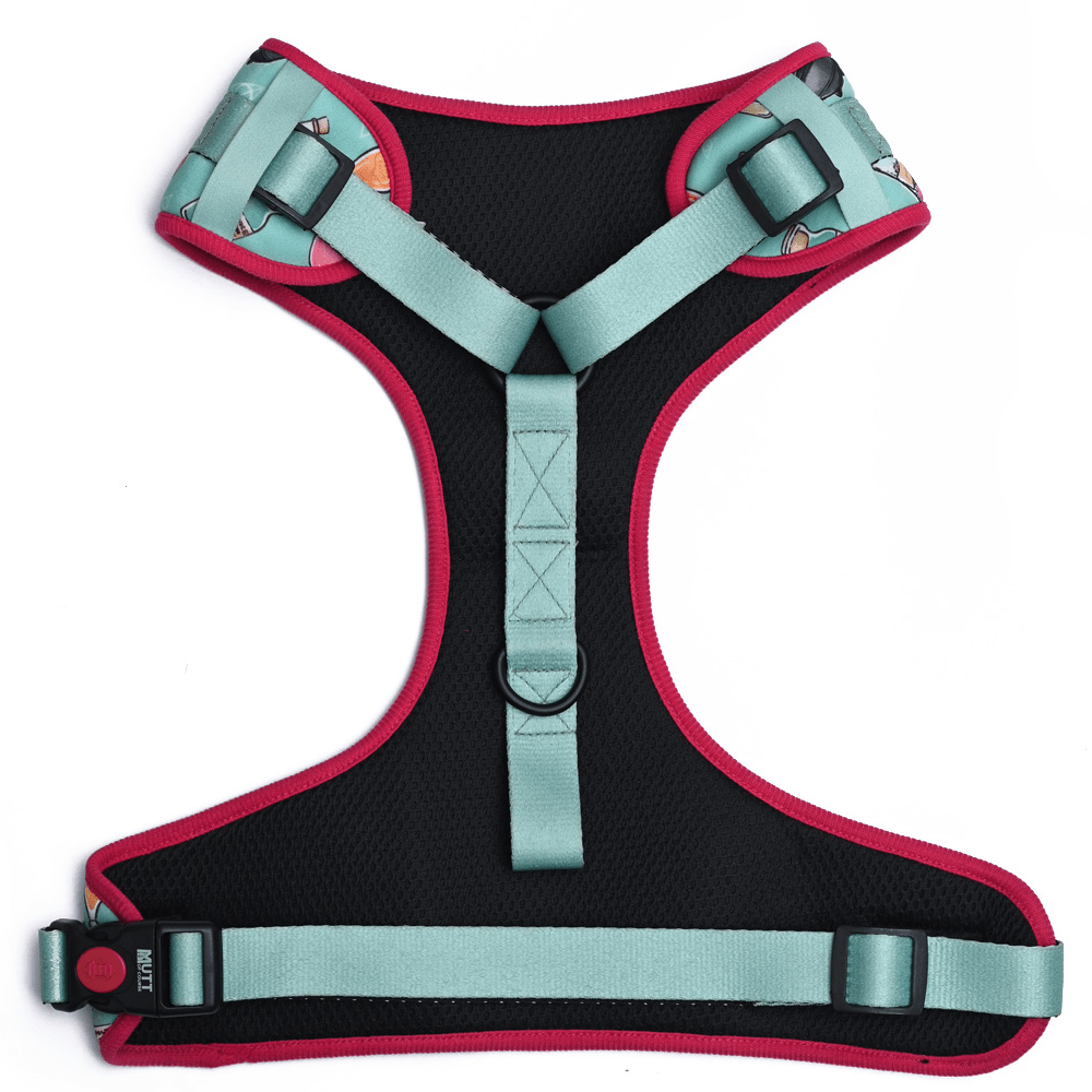 Harry Potter Potions In Motions Dog Harness
