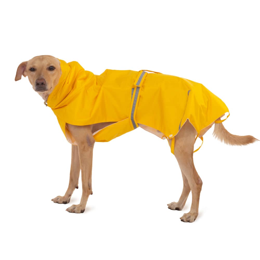 PetWale Reflective Raincoat for Dogs (Yellow)