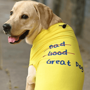 Mutt of Course Great Doggo T Shirt for Dogs