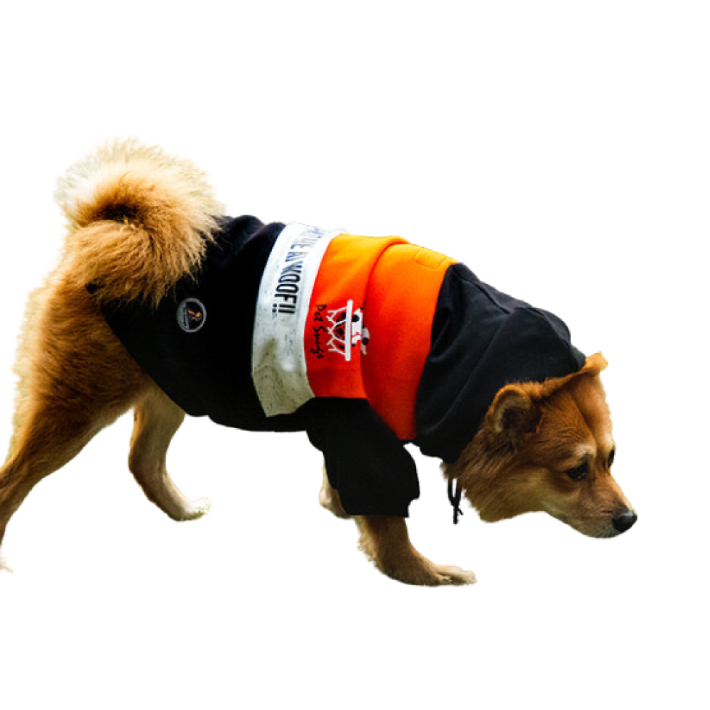 Pet Snugs You Had Me At Woof Sweatshirt for Dogs (Orange White & Black)