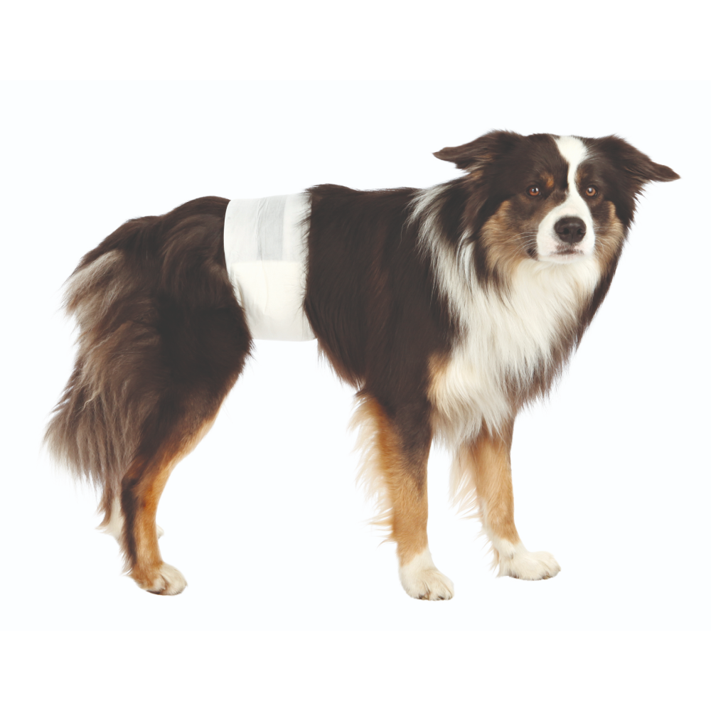 Trixie Disposible Diapers for Male Dogs ( Pack of 12)