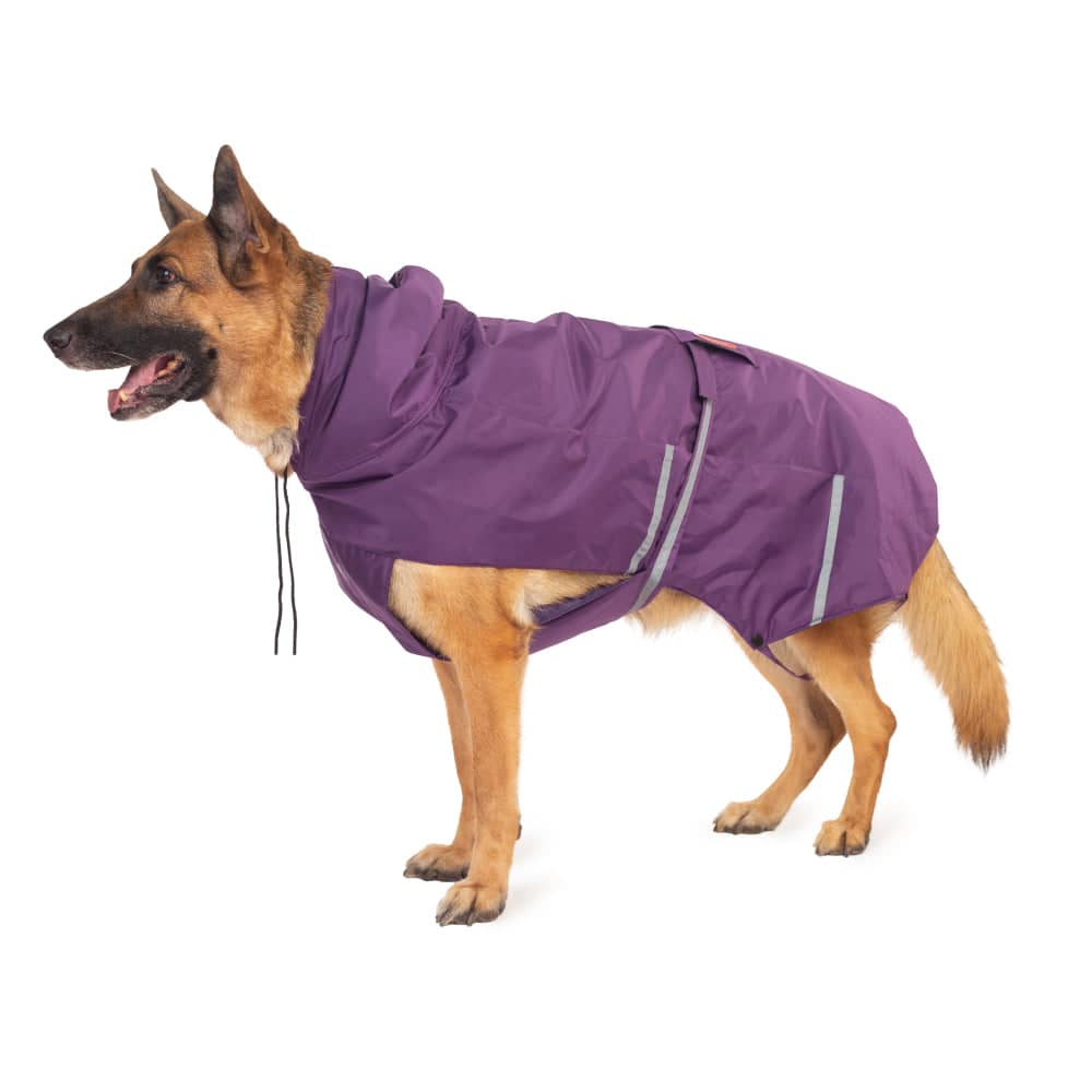 PetWale Reflective Raincoat for Dogs (Purple)