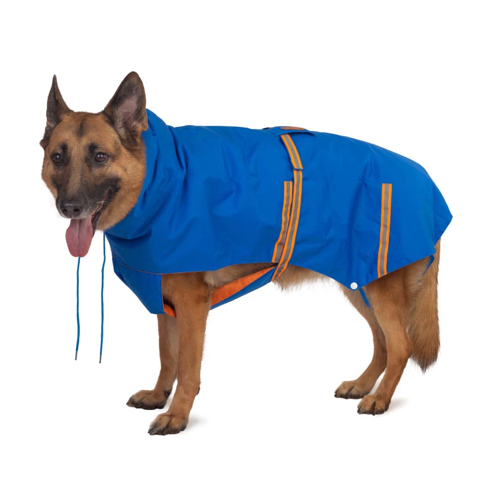 PetWale Reflective Raincoat for Dogs (Royal Blue)