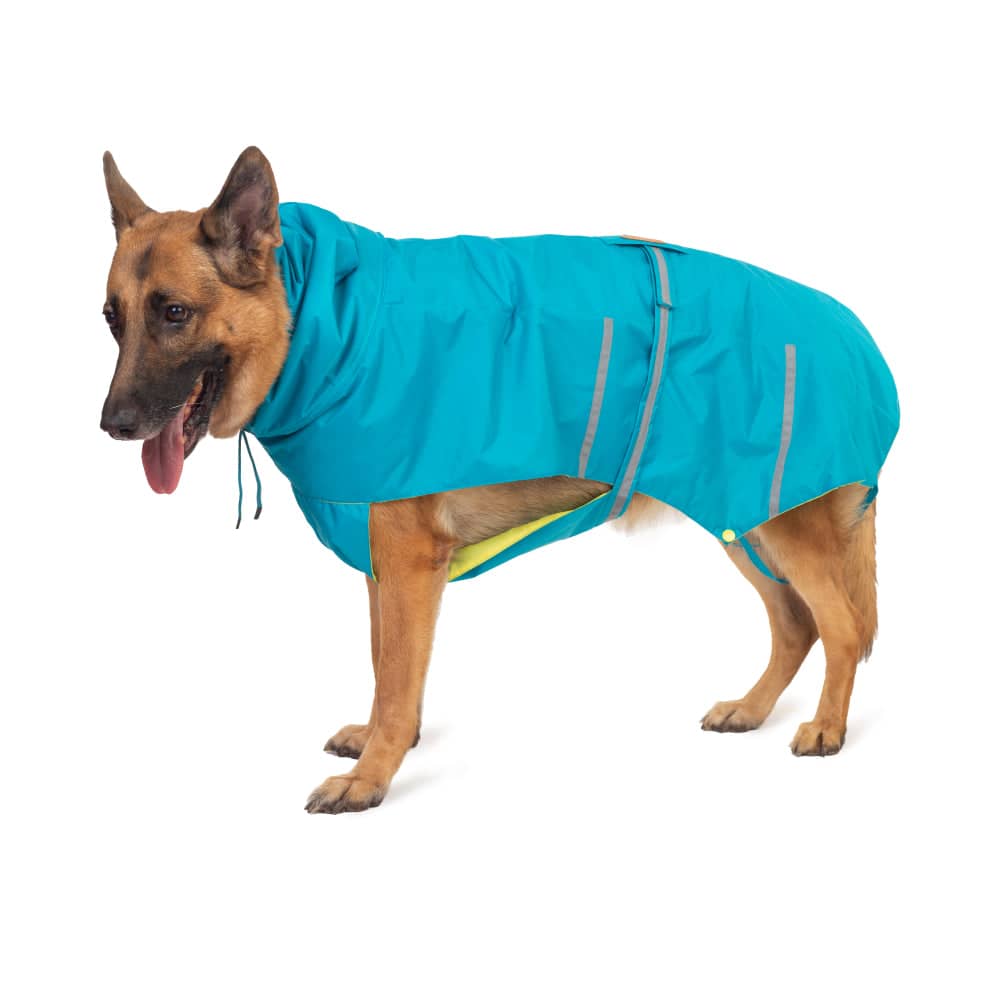 PetWale Reflective Raincoat for Dogs (Turquoise)