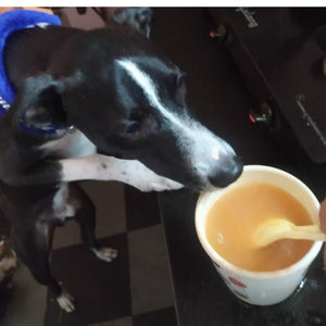 Doggos Instant Chicken Bone Broth for Dogs and Cats