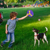 Pet Vogue Disc Toy with Detachable Boomerang for Dogs Dogs-Toys Pet Vogue