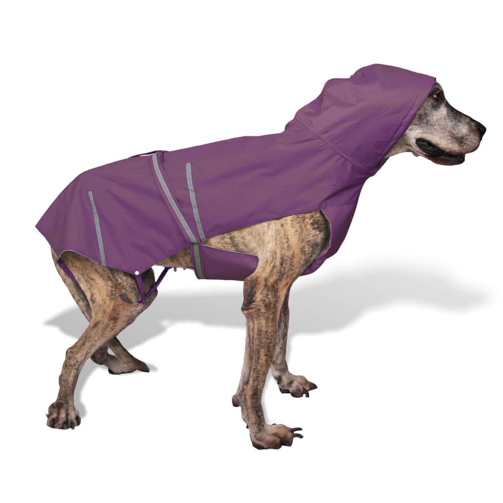 PetWale Reflective Raincoat for Dogs (Purple)