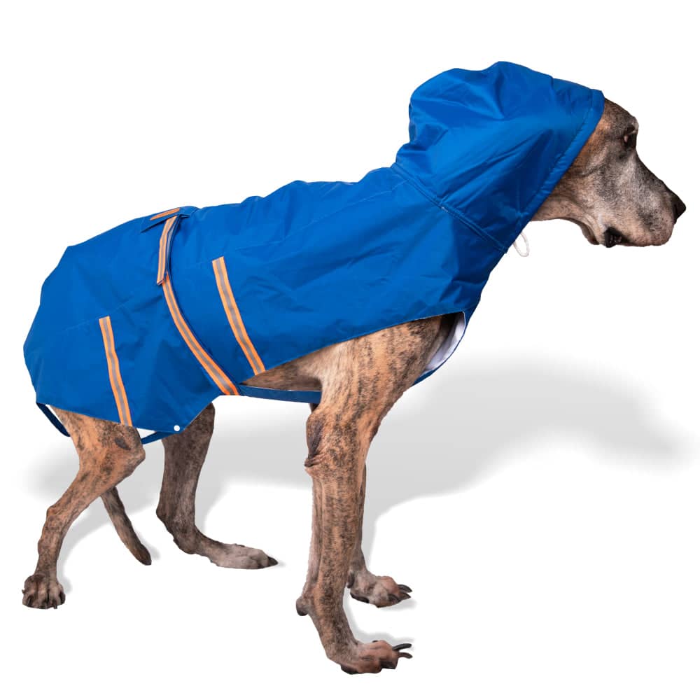 PetWale Reflective Raincoat for Dogs (Royal Blue)