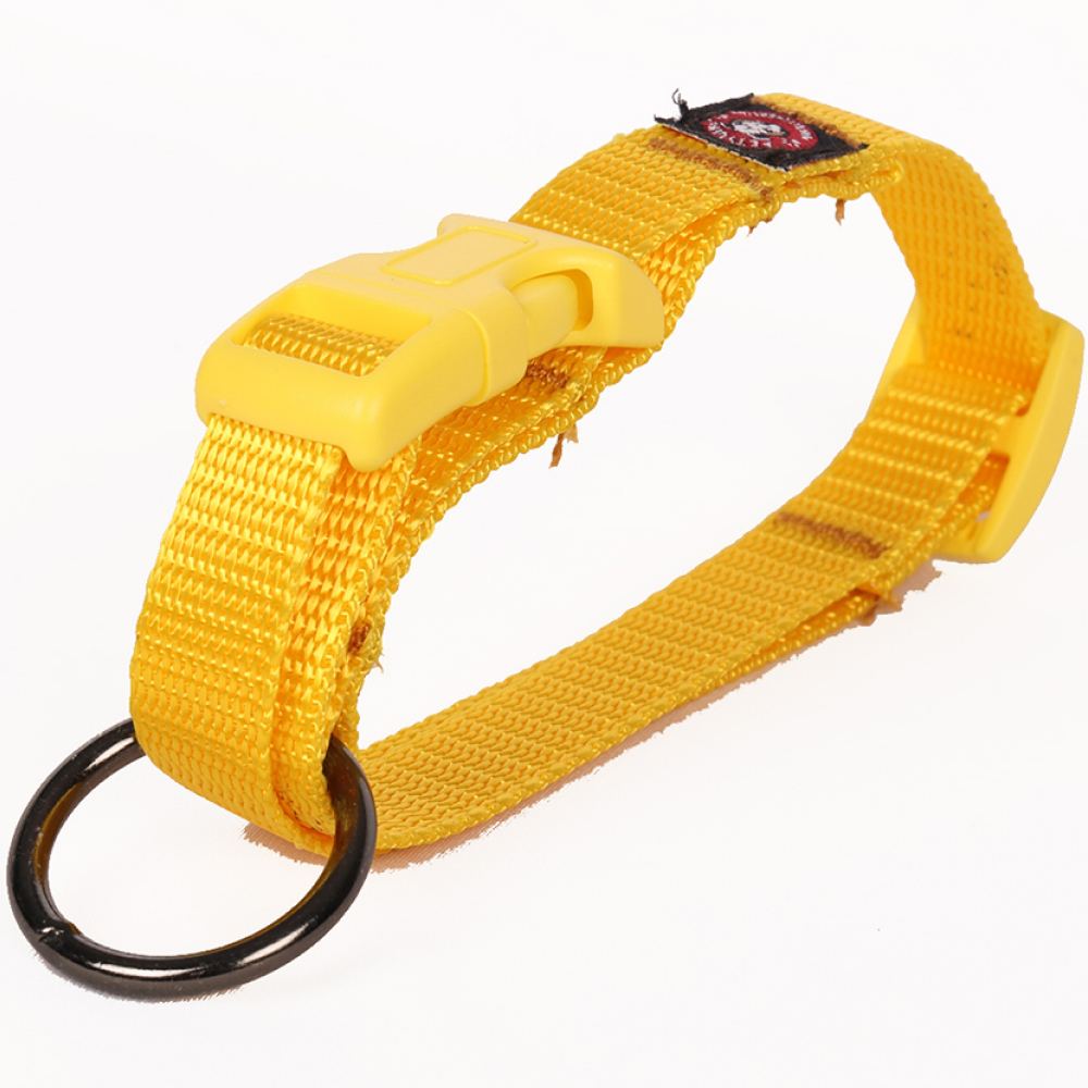 Pets Like Nylon Collar with Adjustable Clip Collar for Dogs (Yellow)
