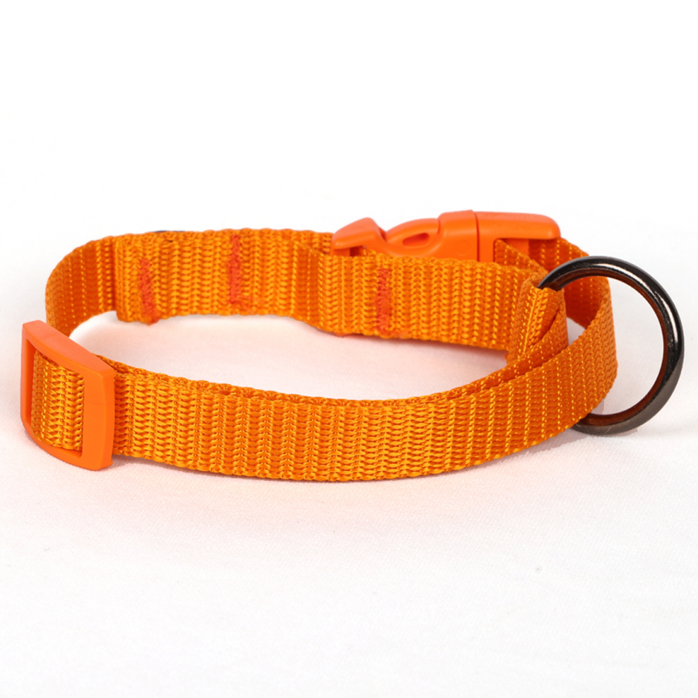 Pets Like Nylon Collar with Adjustable Clip Collar for Dogs (Orange)