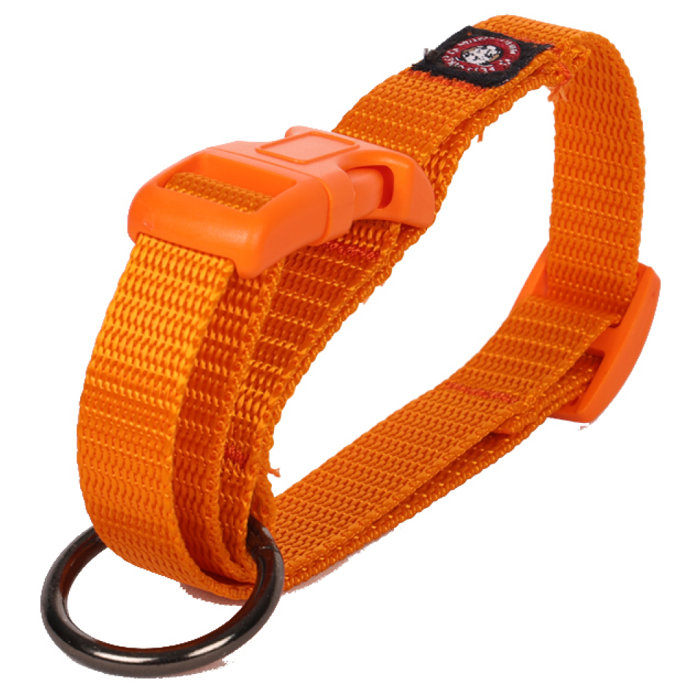 Pets Like Nylon Collar with Adjustable Clip Collar for Dogs (Orange)
