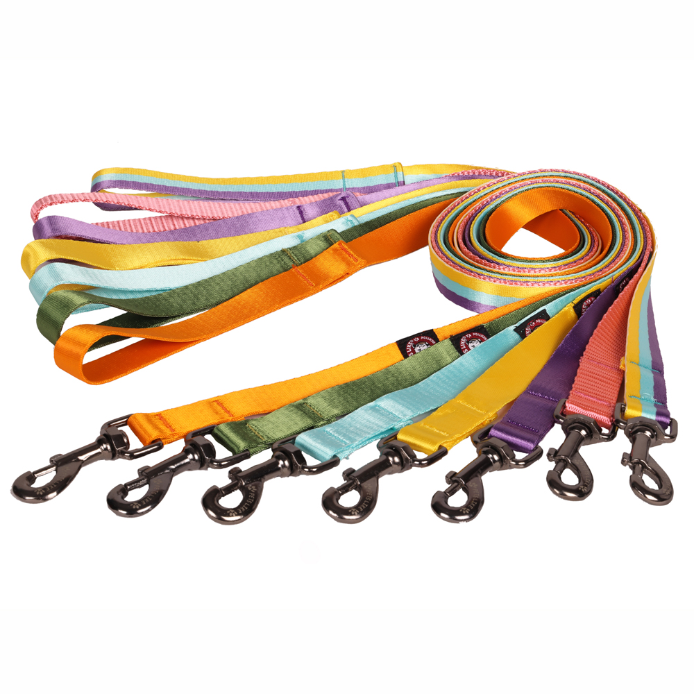 Pets Like Nylon Training Leash with Metal Clip for Dogs (Orange)