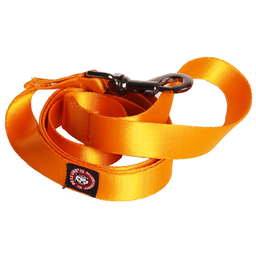 Pets Like Nylon Training Leash with Metal Clip for Dogs (Orange)