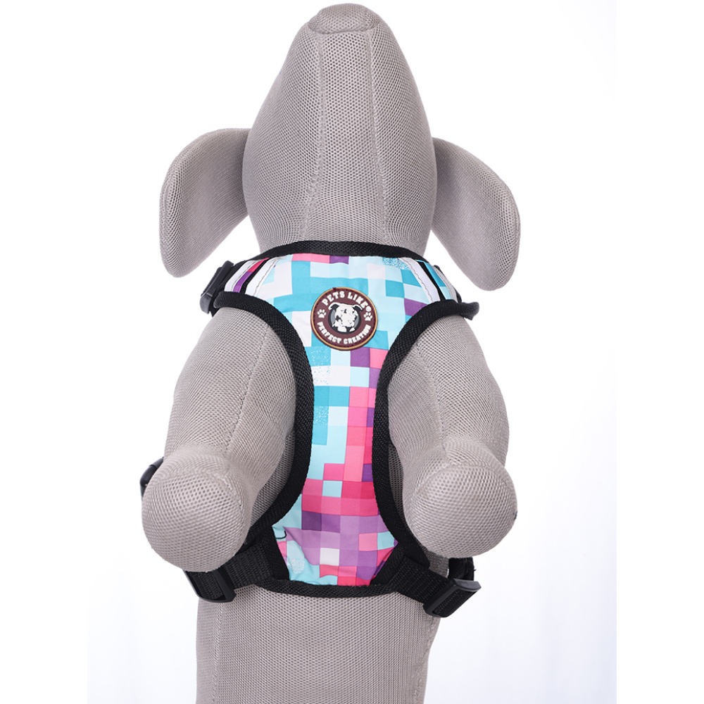 Pets Like Padded Double Side Harness for Dogs (Blue)