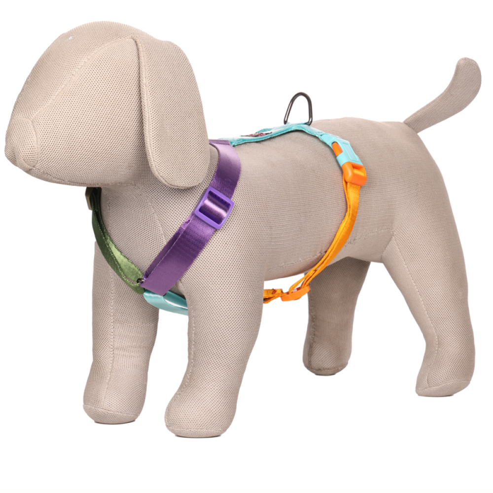 Pets Like Nylon Full Harness for Dogs (Rainbow Aqua Blue)