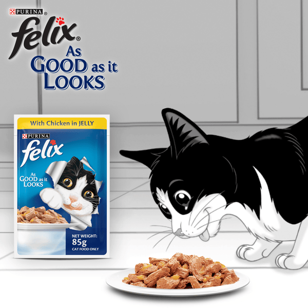 Me O Tuna & Sardine in Jelly Kitten and Purina Felix Chicken with Jelly Adult Cat Wet Food Combo (12+12)