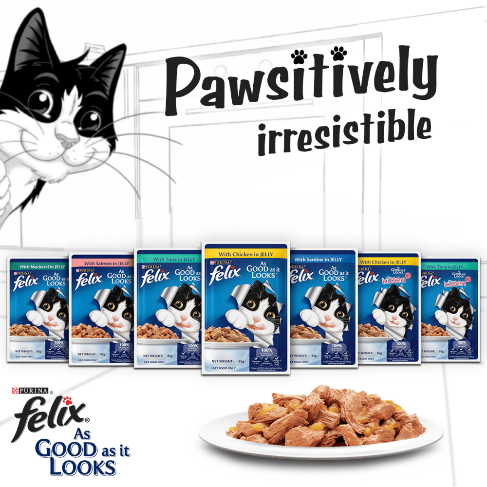 Me O Tuna & Sardine in Jelly Kitten and Purina Felix Chicken with Jelly Adult Cat Wet Food Combo (12+12)