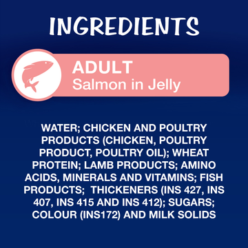 Purina Felix Salmon with Jelly Adult Complete and Balanced Cat Wet Food