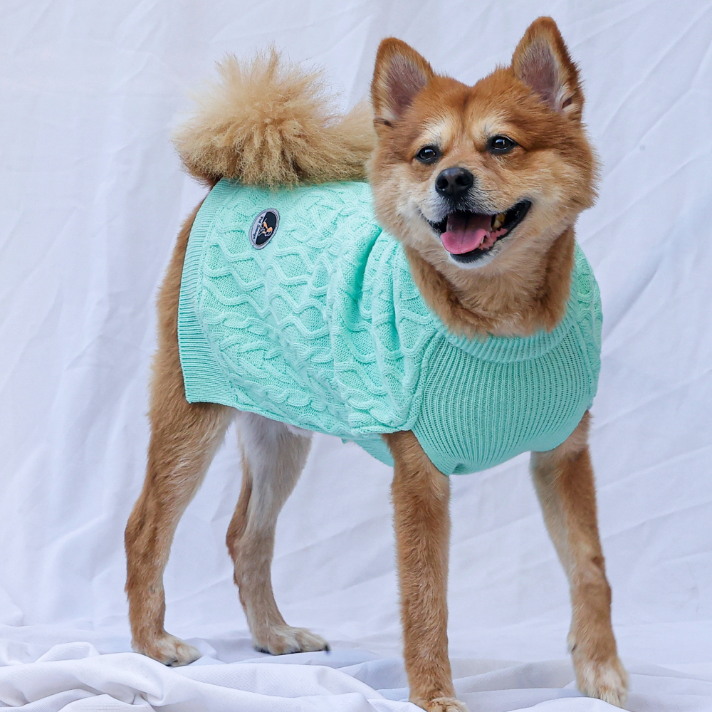 Petsnugs English Cable Knit Sweater for Dogs and Cats