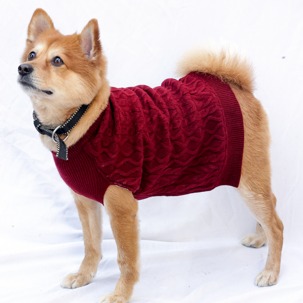 Petsnugs Cable Knit Sweater for Dogs and Cats (Maroon)