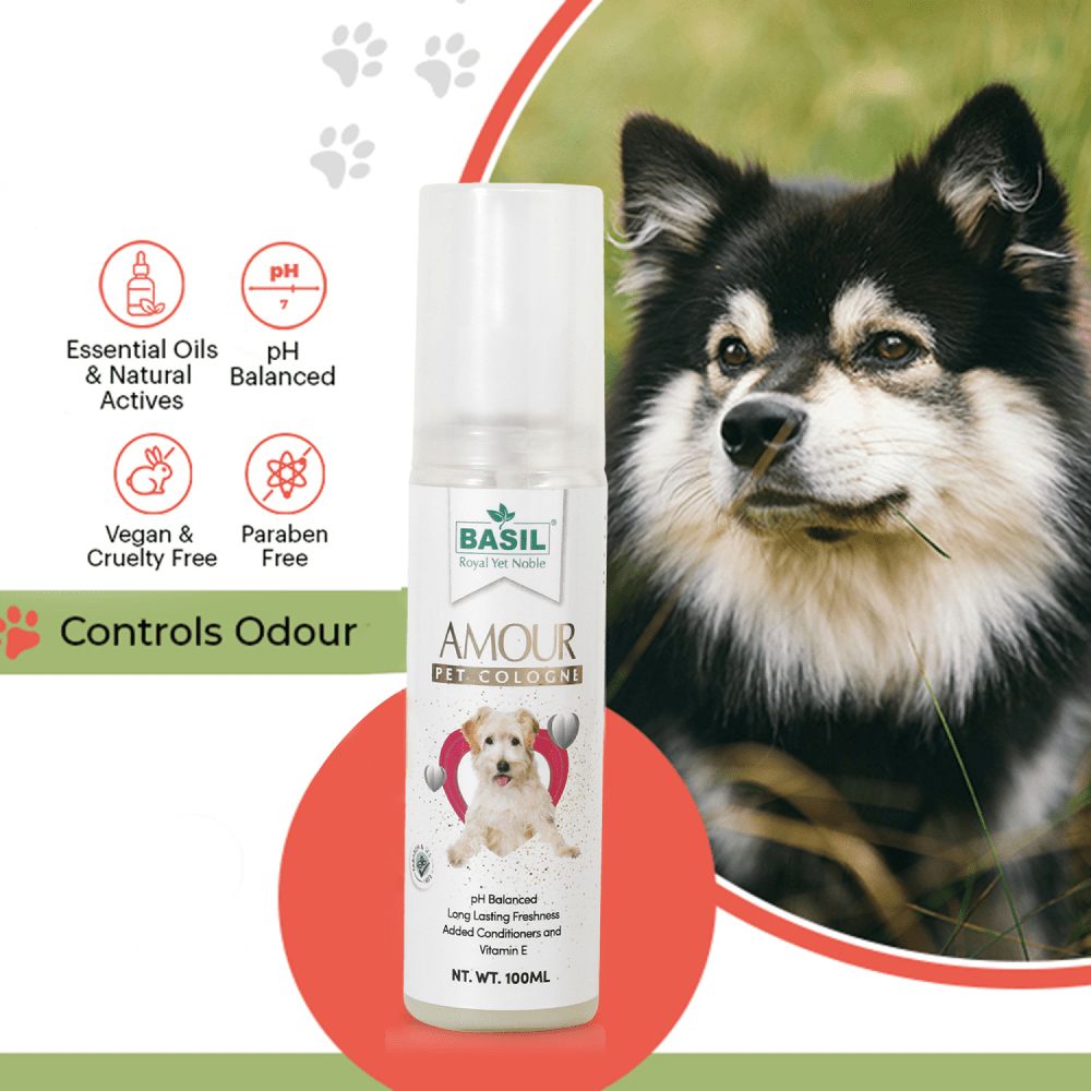 Basil Amour Cologne Spray for Dogs and Cats