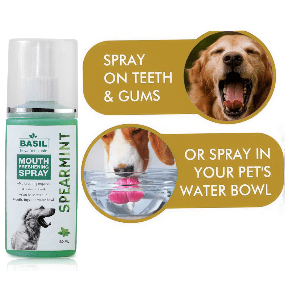 Basil Spearmint Mouth Spray for Dogs Dogs-Health & Wellness Basil