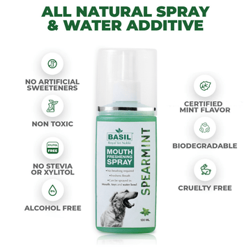 Basil Spearmint Mouth Spray for Dogs