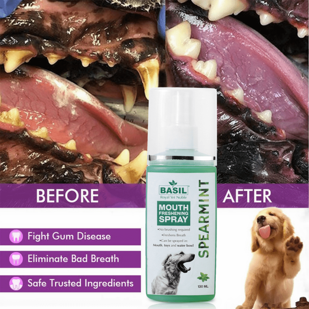 Basil Spearmint Mouth Spray for Dogs Dogs-Health & Wellness Basil