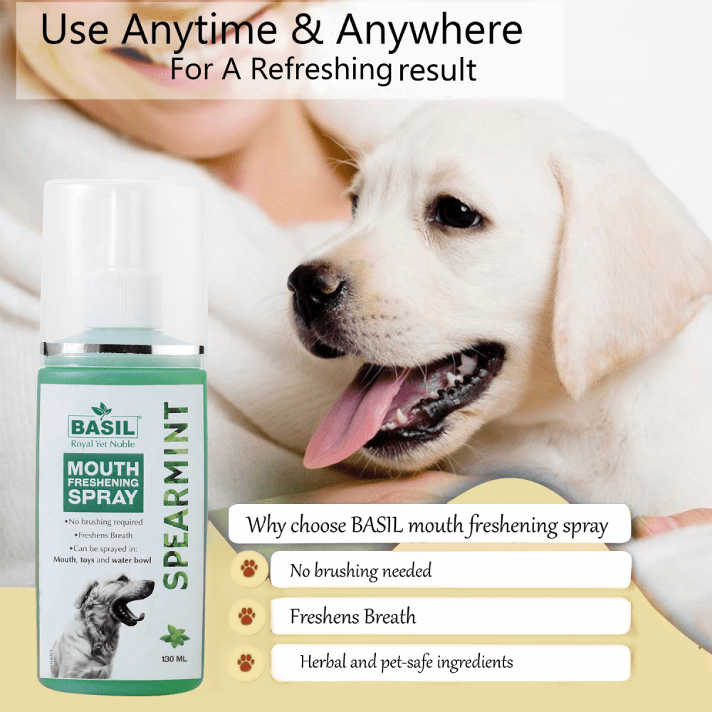 Basil Spearmint Mouth Spray for Dogs Dogs-Health & Wellness Basil
