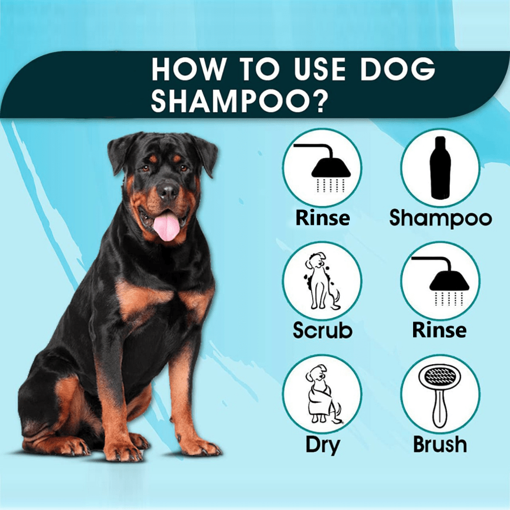 Basil Anti Dandruff & Anti Itch Shampoo for Dogs and Cats