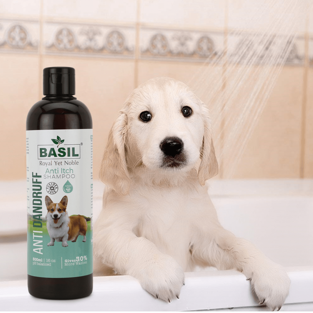 Basil Anti Dandruff & Anti Itch Shampoo for Dogs and Cats