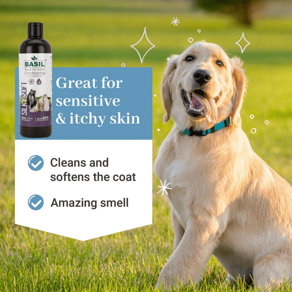 Basil Silky Soft Conditioning Dog Shampoo Dogs-Grooming Supplies Basil