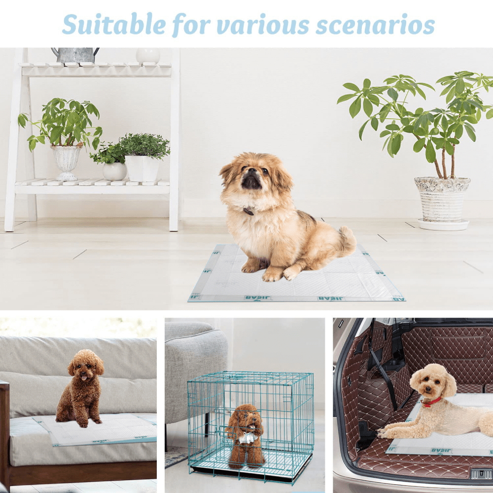 Basil Training Pads for Puppies (60x45cm) Dogs-Health & Wellness Basil