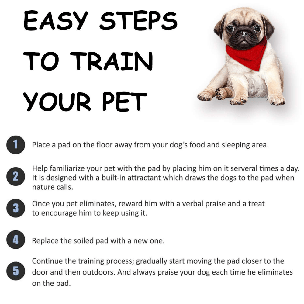 Basil Charcoal Training Pads for Puppies (60x45cm) Dogs-Health & Wellness Basil