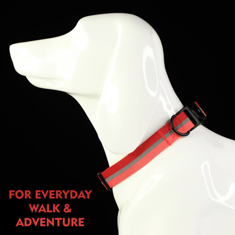 Glucklich Everyday Reflective Collar for Dogs (Cherry Pink)