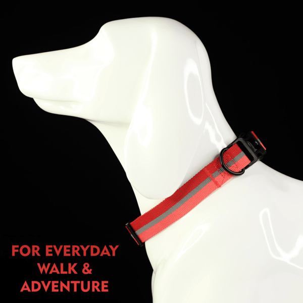 Glucklich Everyday Reflective Collar for Dogs (Cherry Pink)