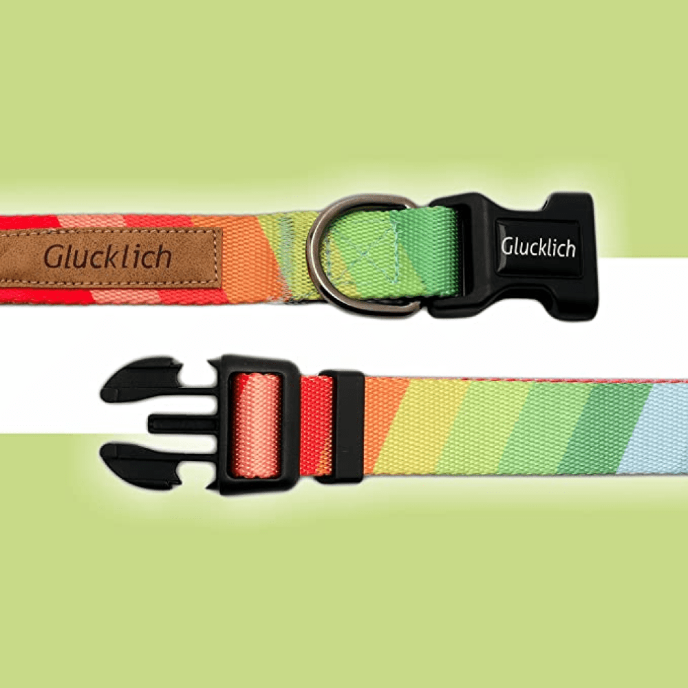 Glucklich Polyester Printed Puppy Collar for Dogs (Rainbow)