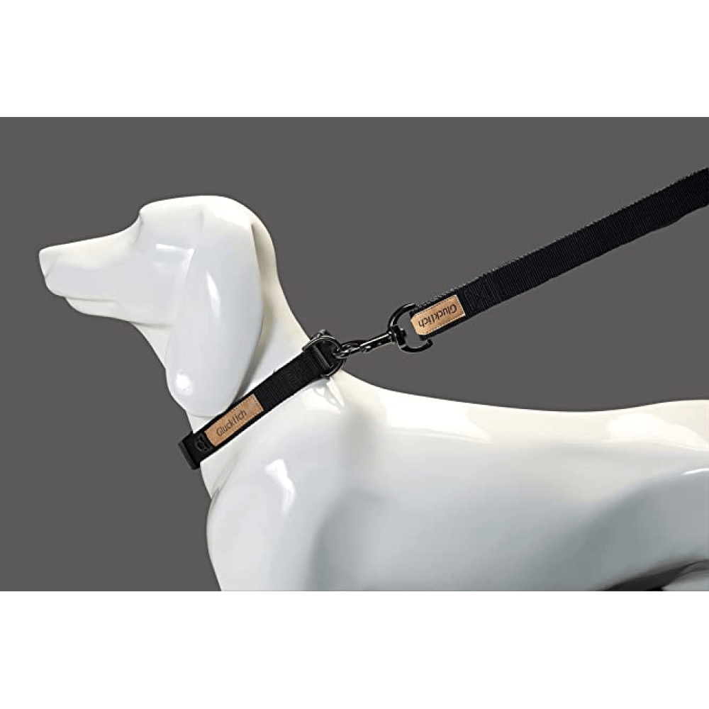 Glucklich Pet Essentials Classic Nylon Collar for Dogs (Black)