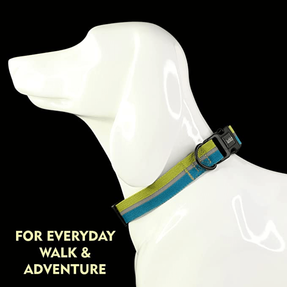 Glucklich Everyday Reflective Collar for Dogs (Mint Green)