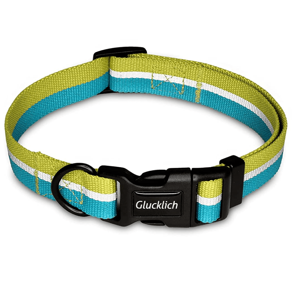 Glucklich Everyday Reflective Collar for Dogs (Mint Green)