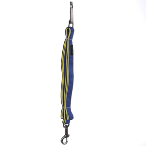 Basil Nylon Padded Leash for Dogs (Blue)