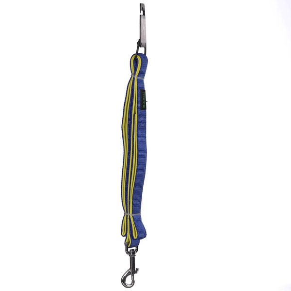 Basil Nylon Padded Leash for Dogs (Blue)