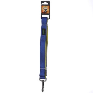 Basil Nylon Padded Leash for Dogs (Blue)