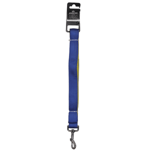 Basil Nylon Padded Leash for Dogs (Blue)
