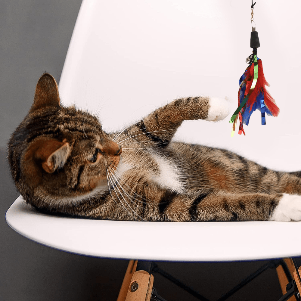 Basil Cat Teaser with Feathers & Bell for Cats Cats-Toys Basil