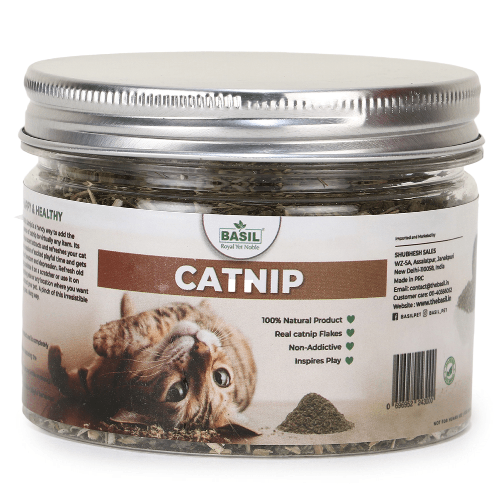 Basil Catnip in a Jar for Cats